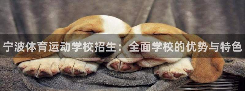 欧亿体育官方正版app集团简介：宁波体育运动学校招生