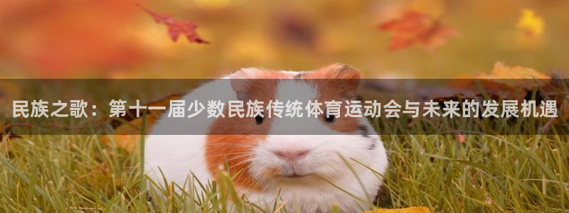欧亿体育官方正版app娱乐平台：民族之歌：第十一届少